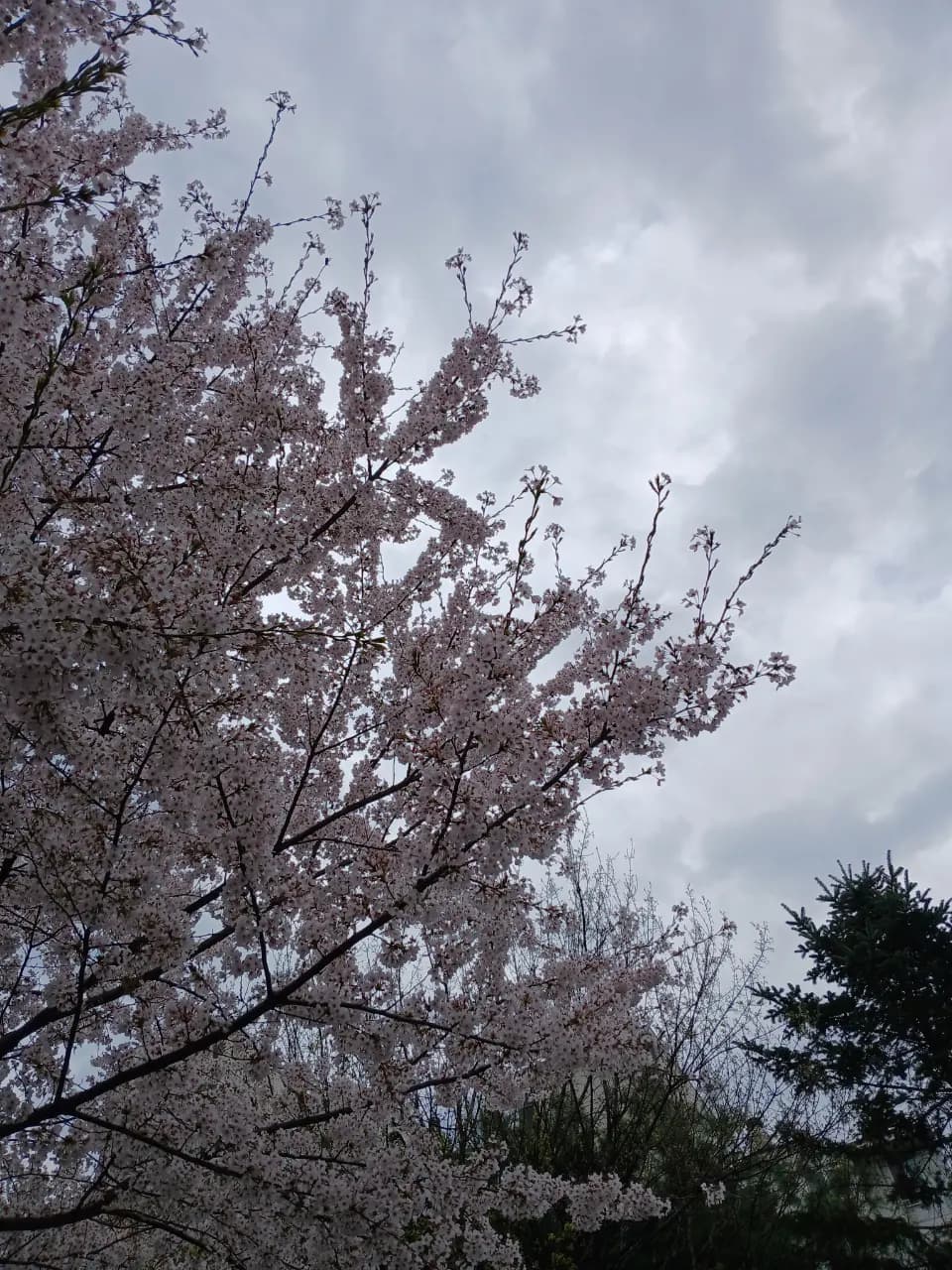 464-1 Gongdeok-dong, Seoul