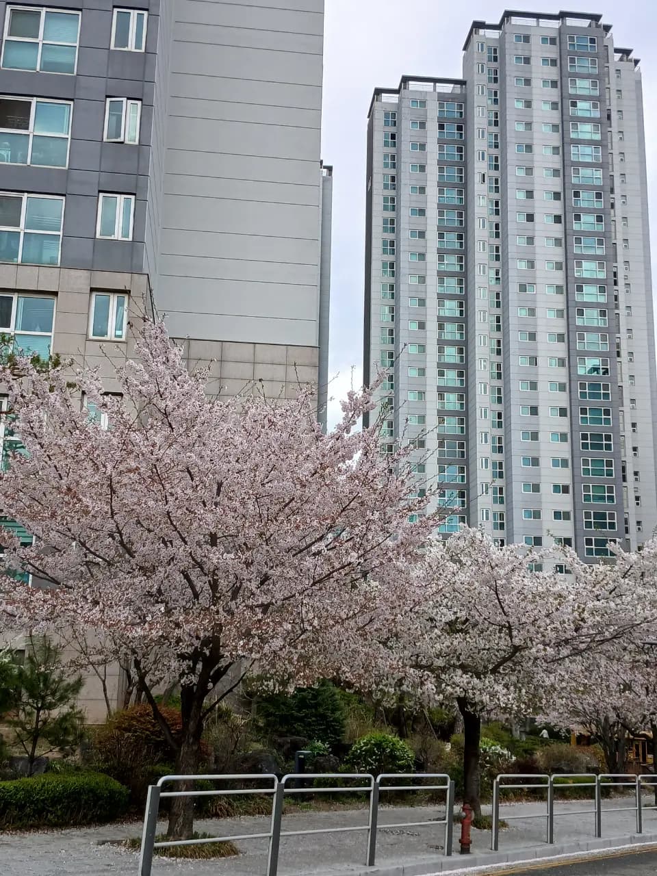 788 Ahyeon-dong, Seoul