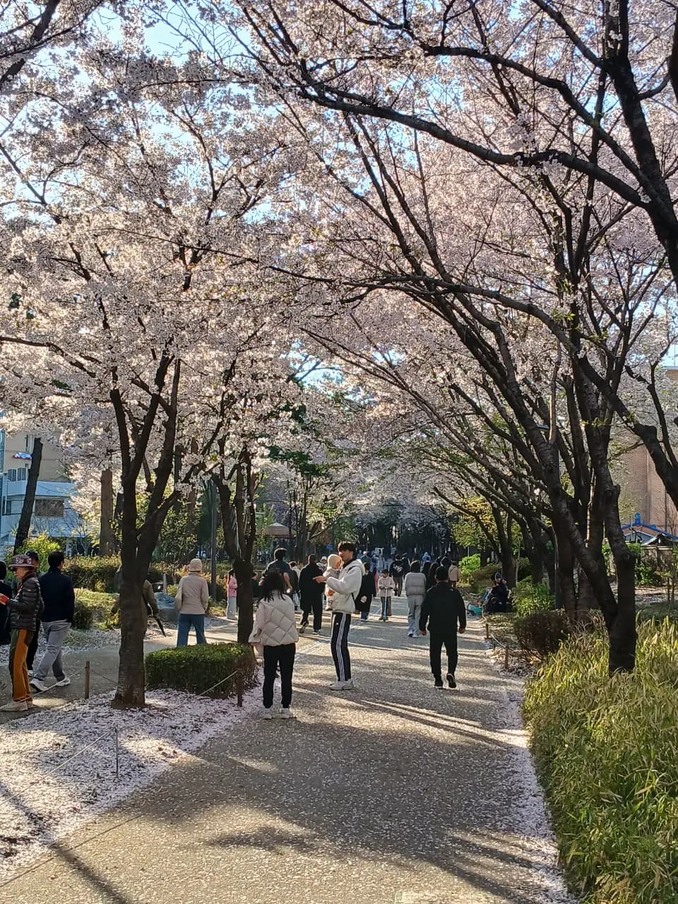 157-23 염리동, Seoul