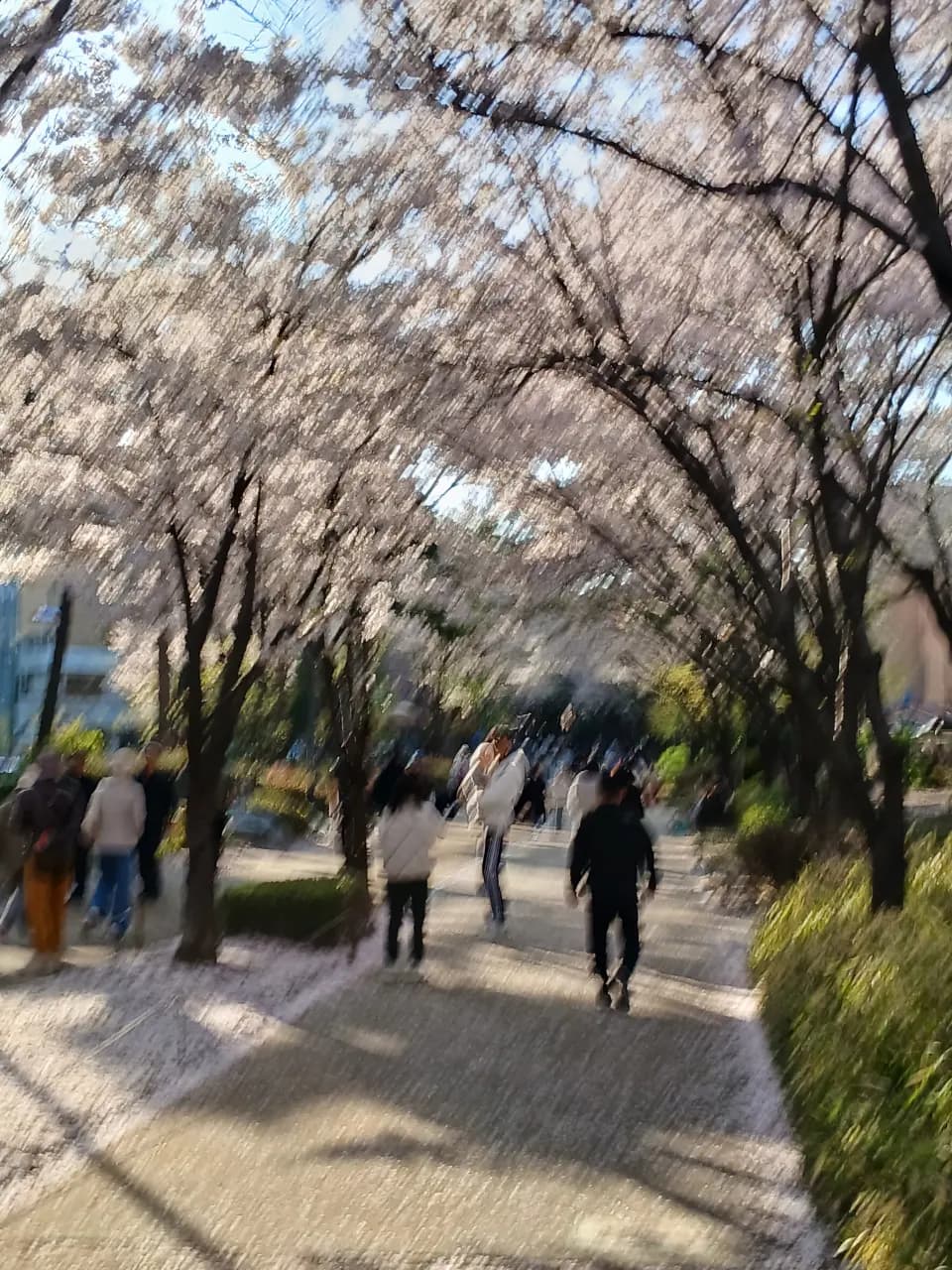 157-23 염리동, Seoul