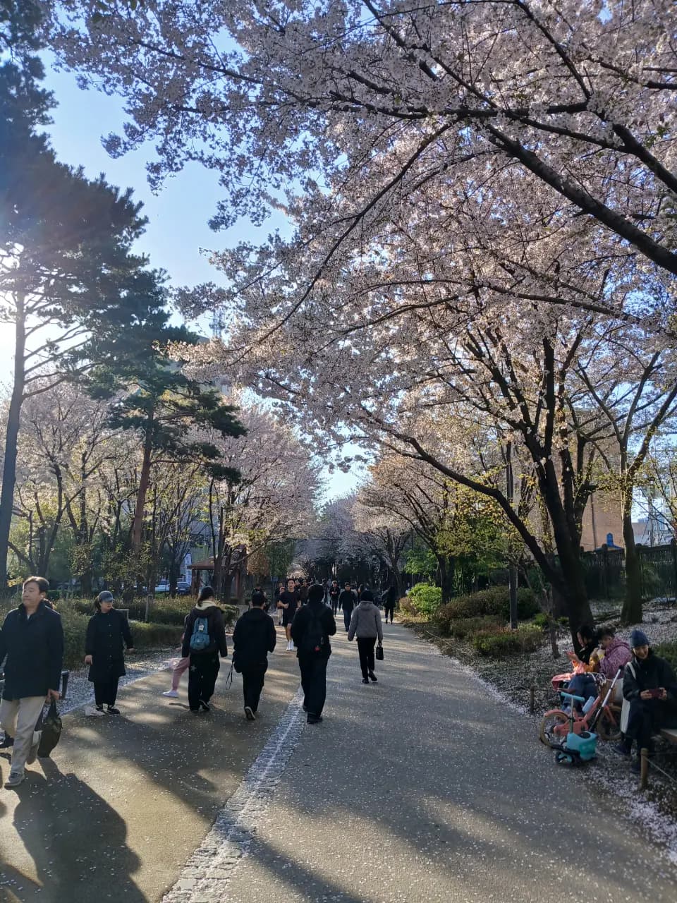 106-2 Yeomni-dong, Seoul