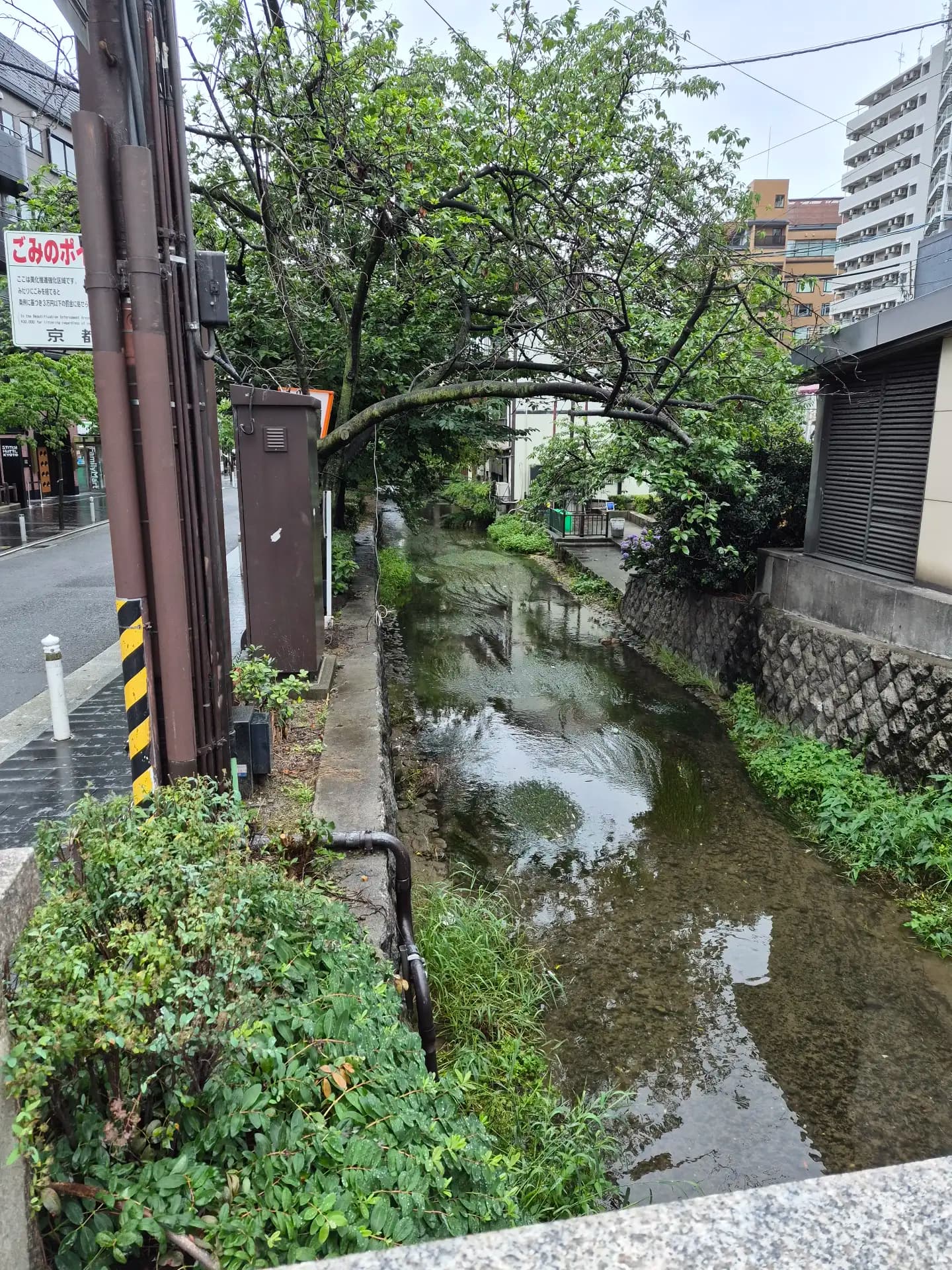 Kyoto Trip - 90