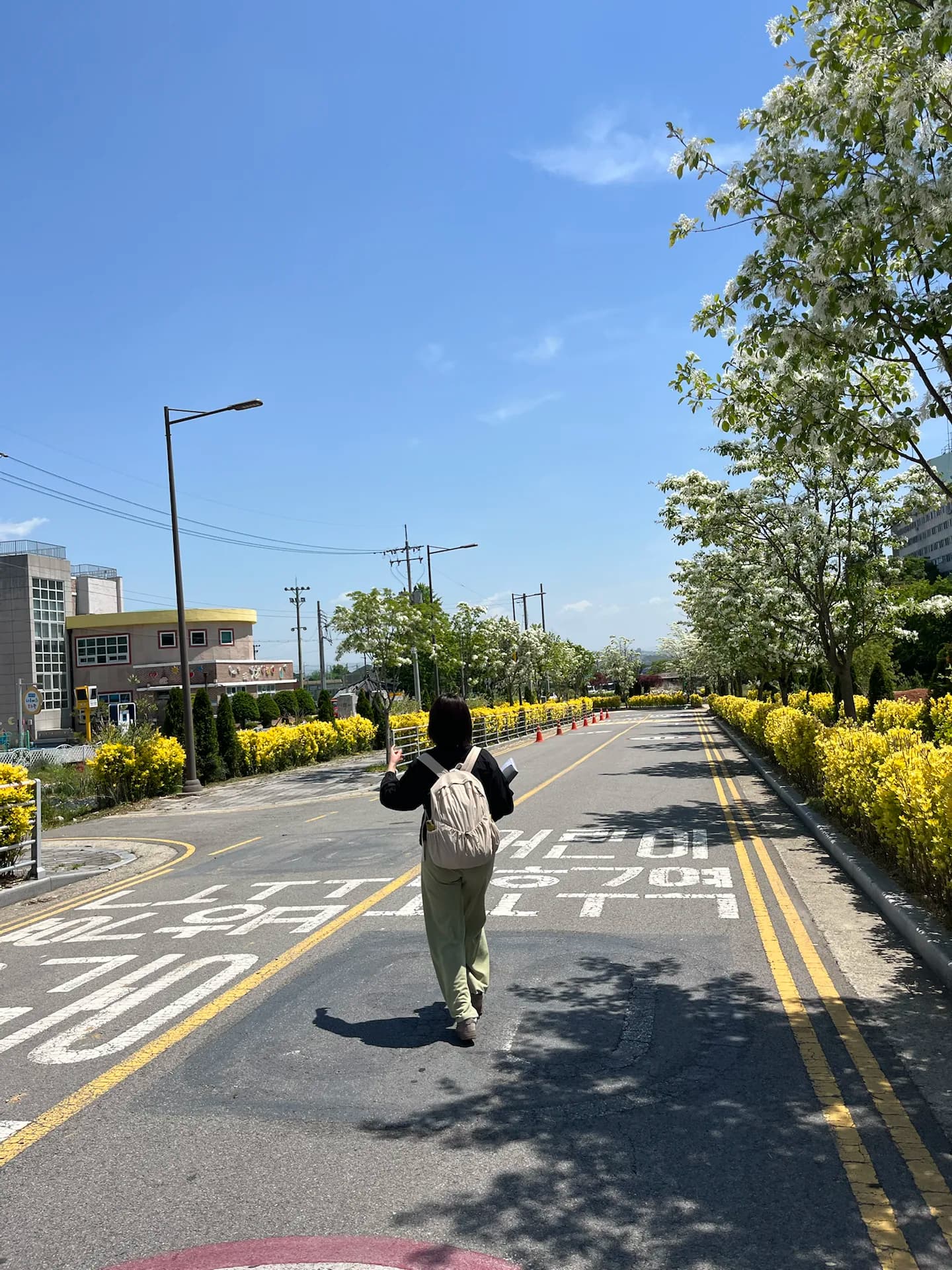 Viagem a Hampyeong e Naju — 2º dia - Naju/South Korea