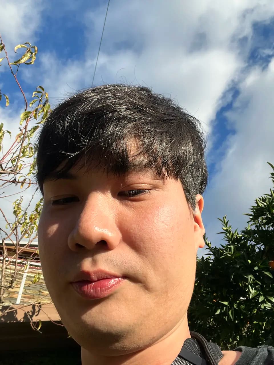 ฮันนีมูนวันที่ 4: เดินเล่นในปอร์โต — โบสถ์และร้านหนังสือ Lello และของที่ระลึก - 4 Rua da Calçada, União das freguesias de Vale de Mendiz, Casal de Loivos e Vilarinho de Cotas, Vila Real, Casal de Loivos
