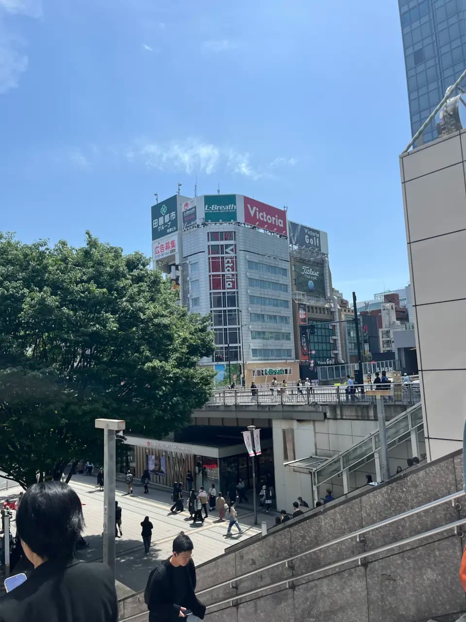 Chuyến du lịch Tokyo ngày 2 - Shinjuku/Japan