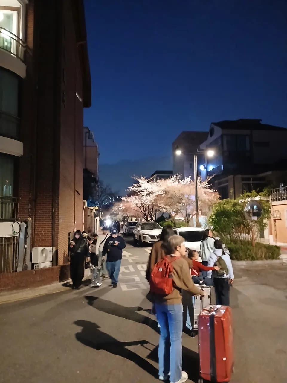 255-5 Yeonnam-dong, Seoul