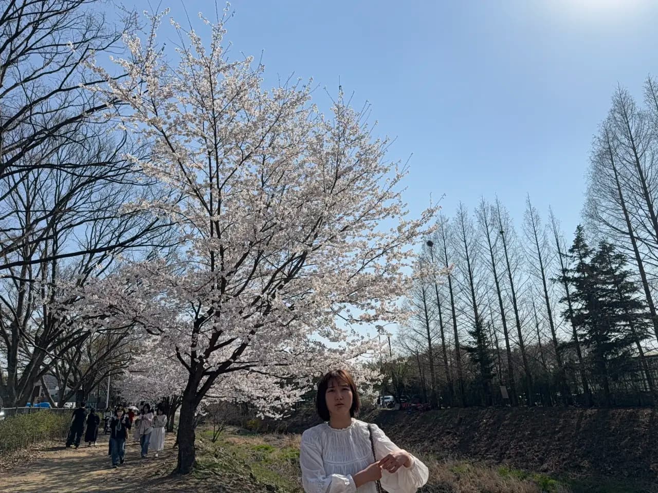 555-15 Gwacheon-dong, Gwacheon-si