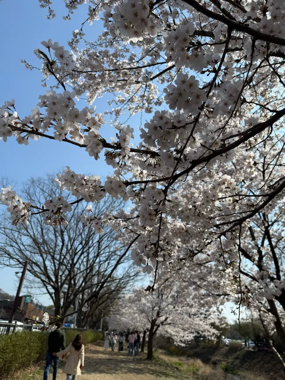 178-4 Gwacheon-dong, Gwacheon-si