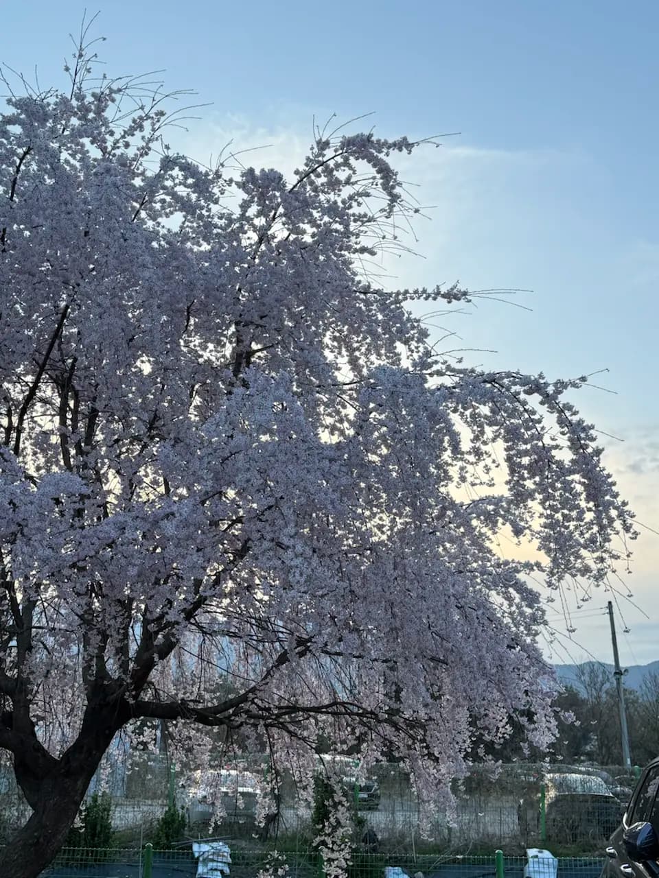 644-4 Gwacheon-dong, Gwacheon-si