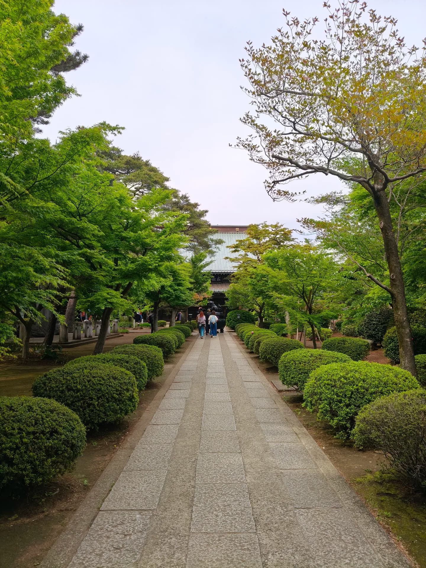 Japan 2026 - Setagaya City/Japan