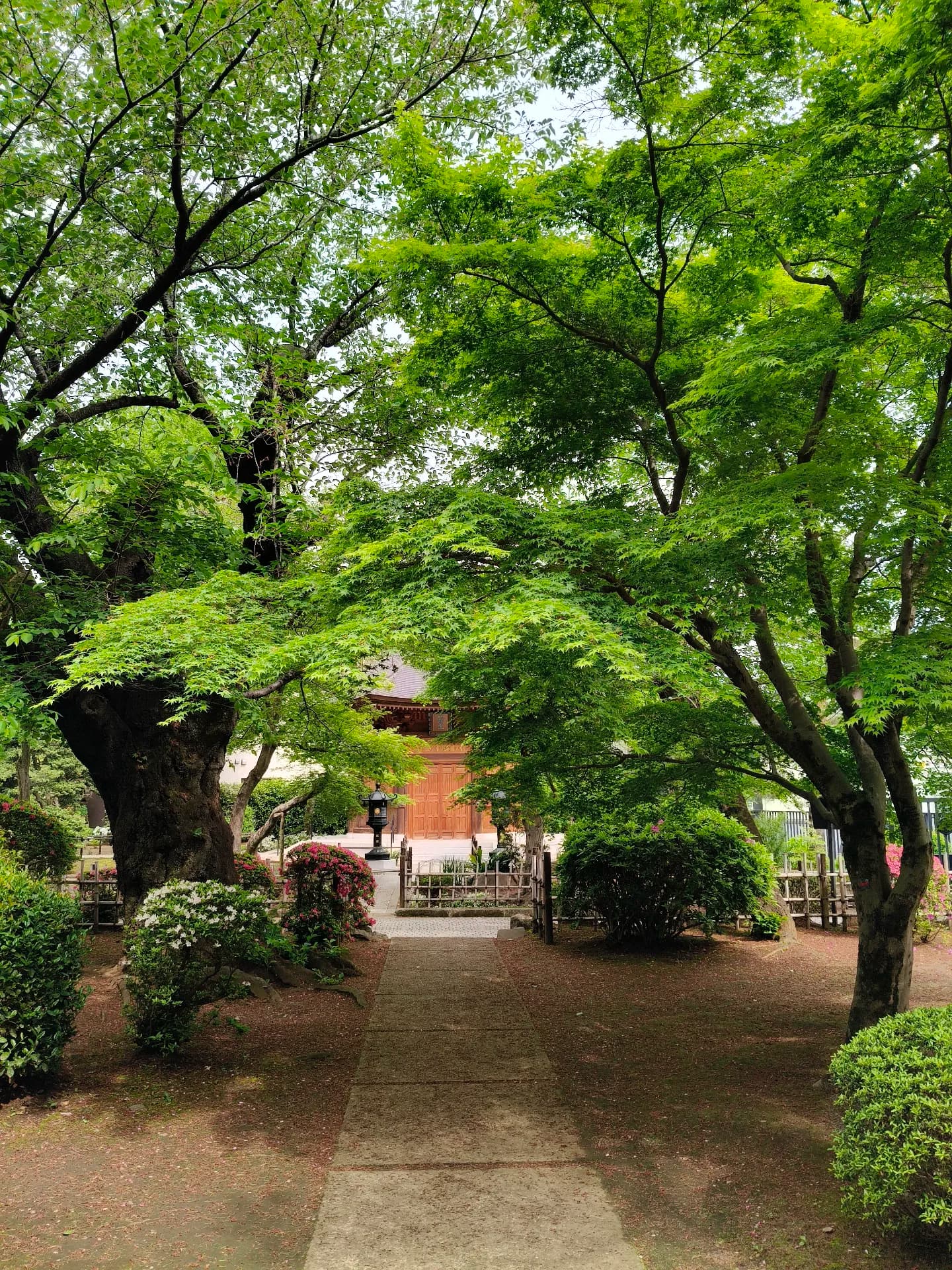 Japan 2026 - Setagaya City/Japan
