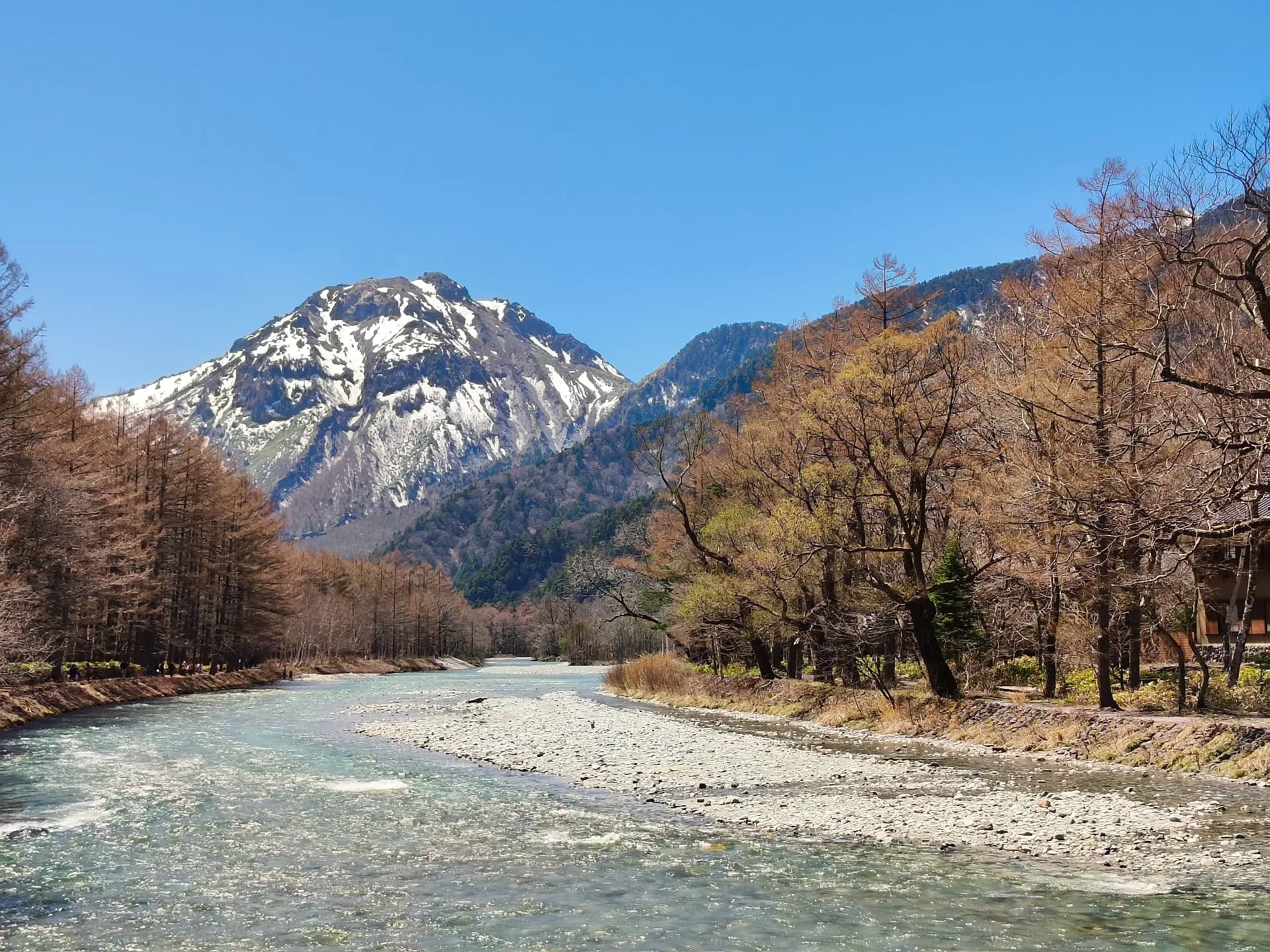 Japan 2026 - Matsumoto/Japan