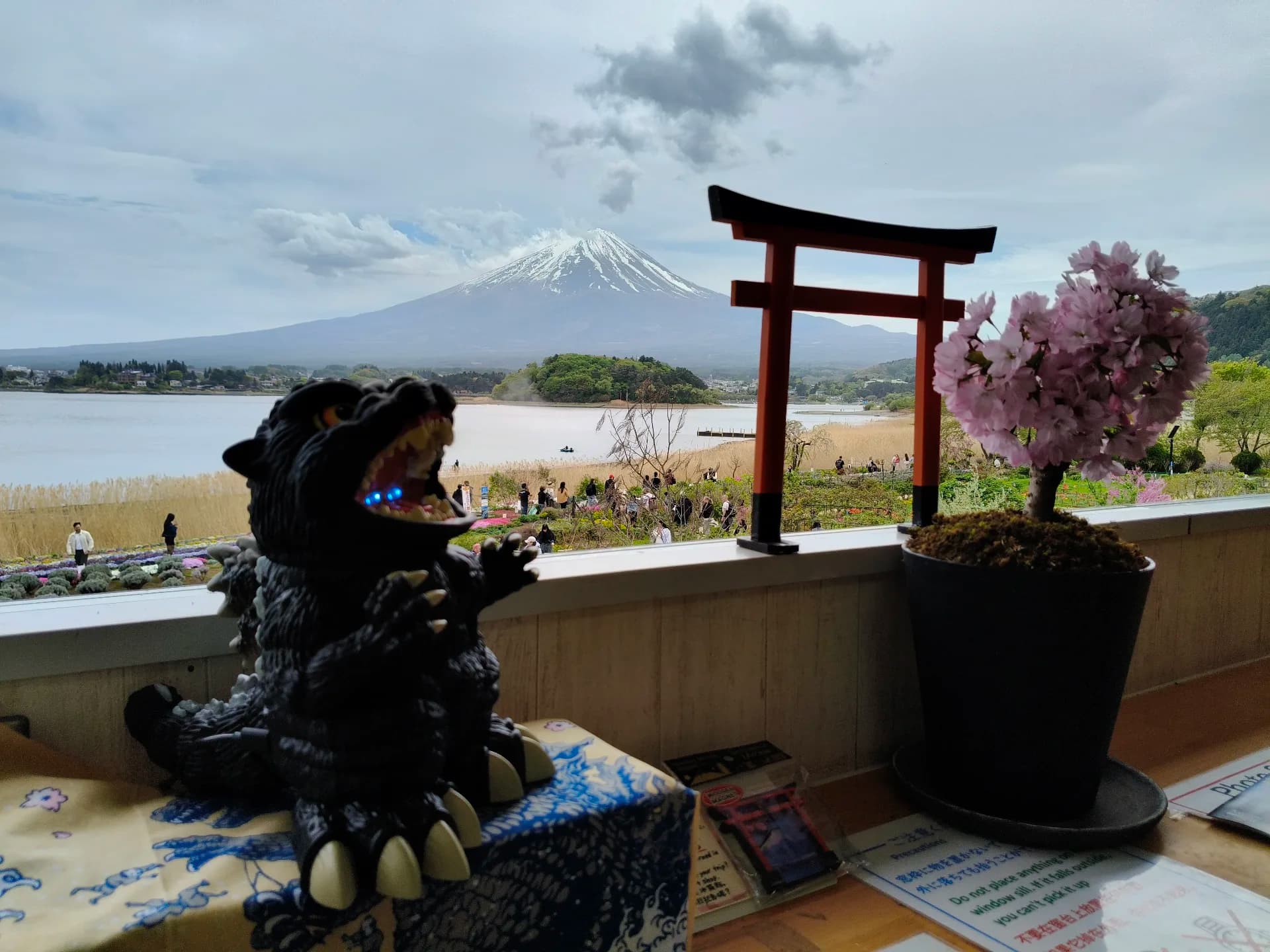 Japan 2026 - Fujikawaguchiko/Japan