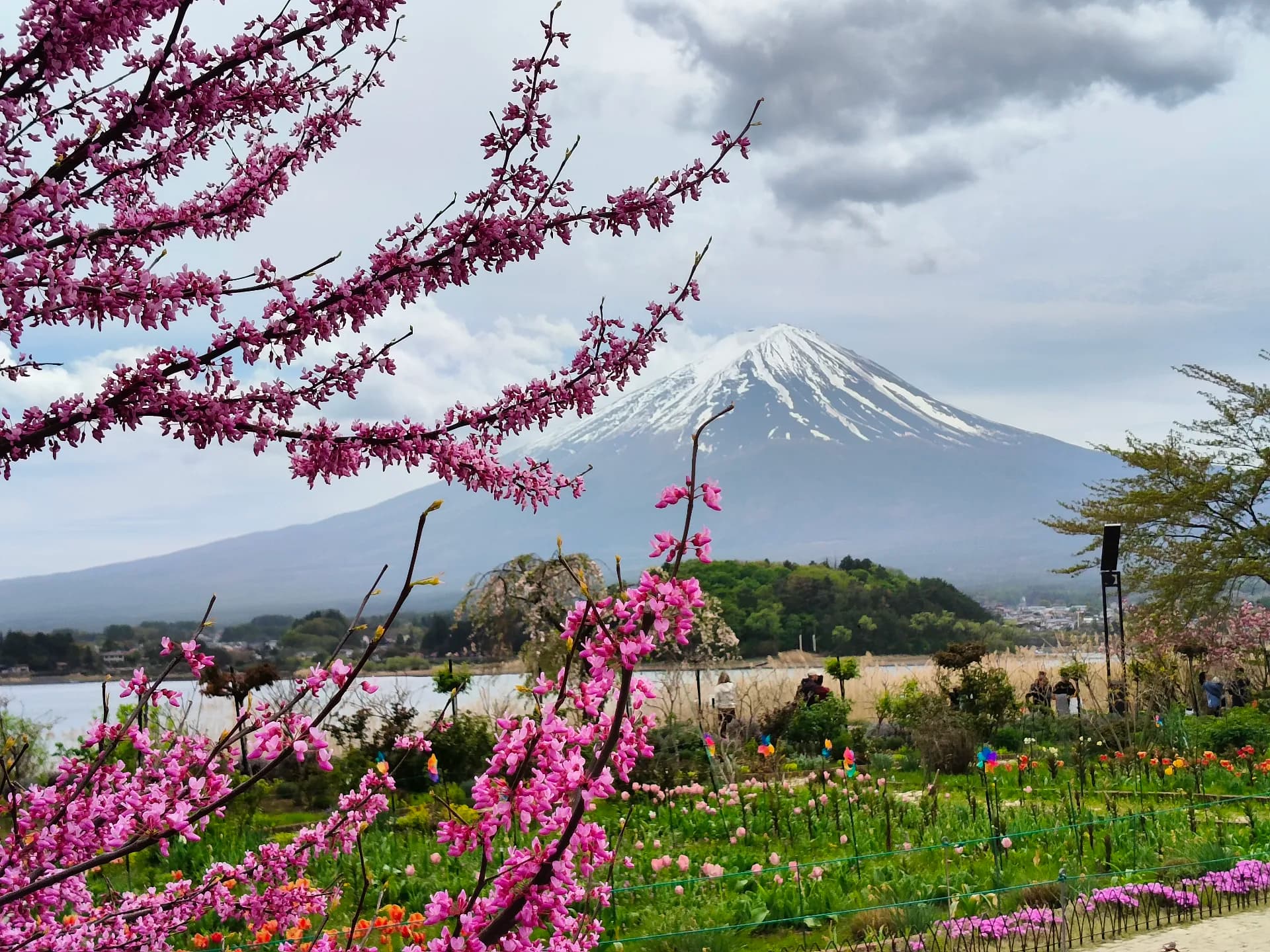 Japan 2026 - Fujikawaguchiko/Japan