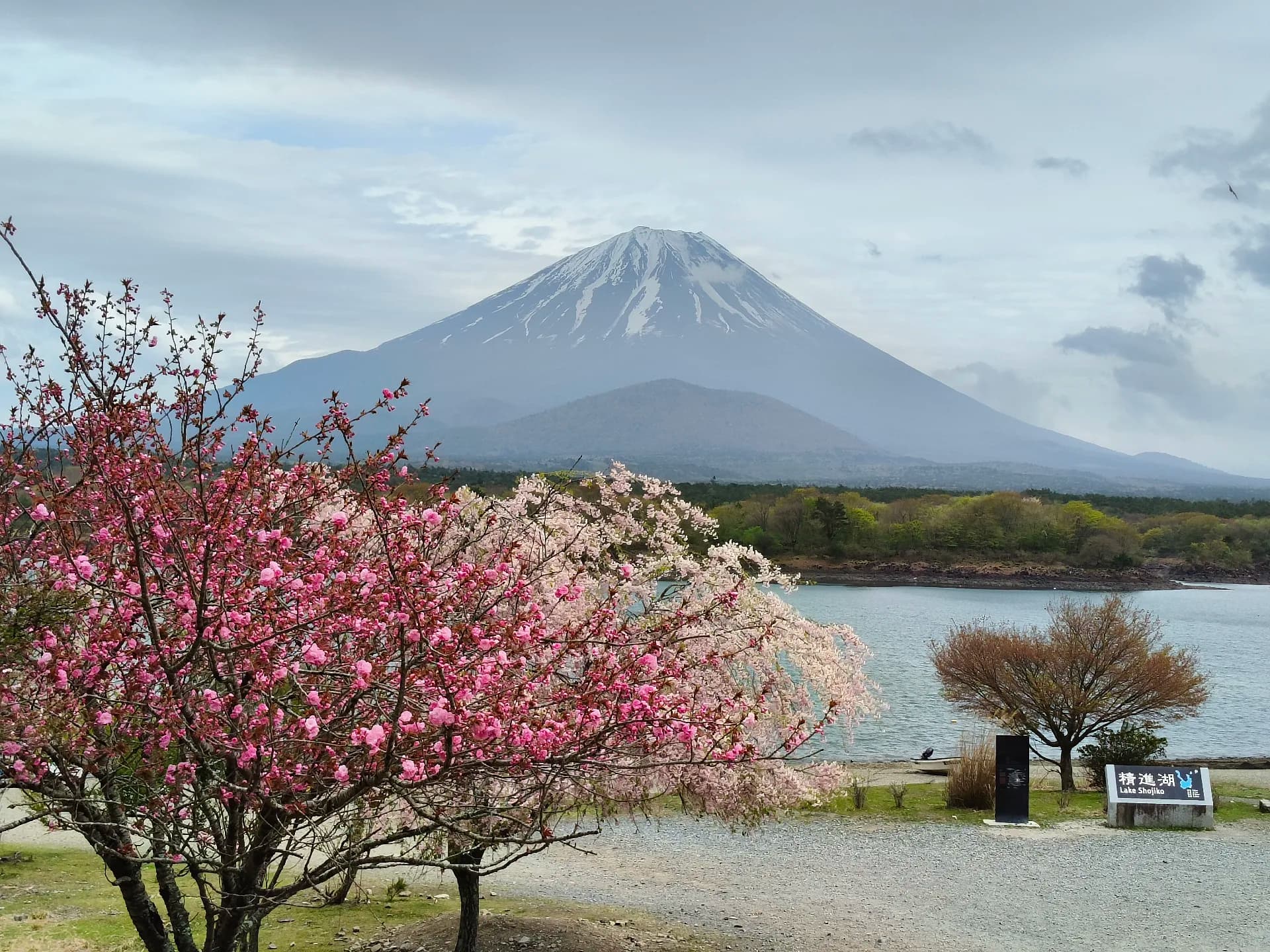 Japan 2026 - Fujikawaguchiko/Japan